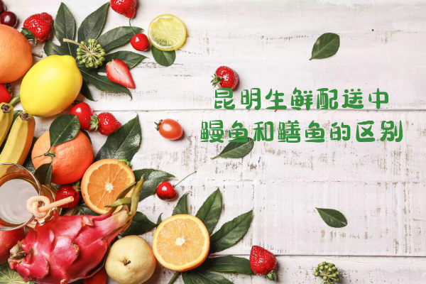 鰻魚和鱔魚的區(qū)別