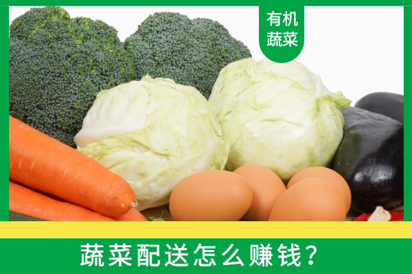 蔬菜配送怎么賺錢(qián)？