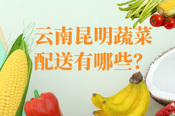 云南昆明蔬菜配送有哪些？